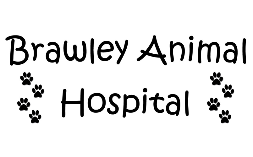 Thank you to our Spring 2023 T-ball Sponsor!!